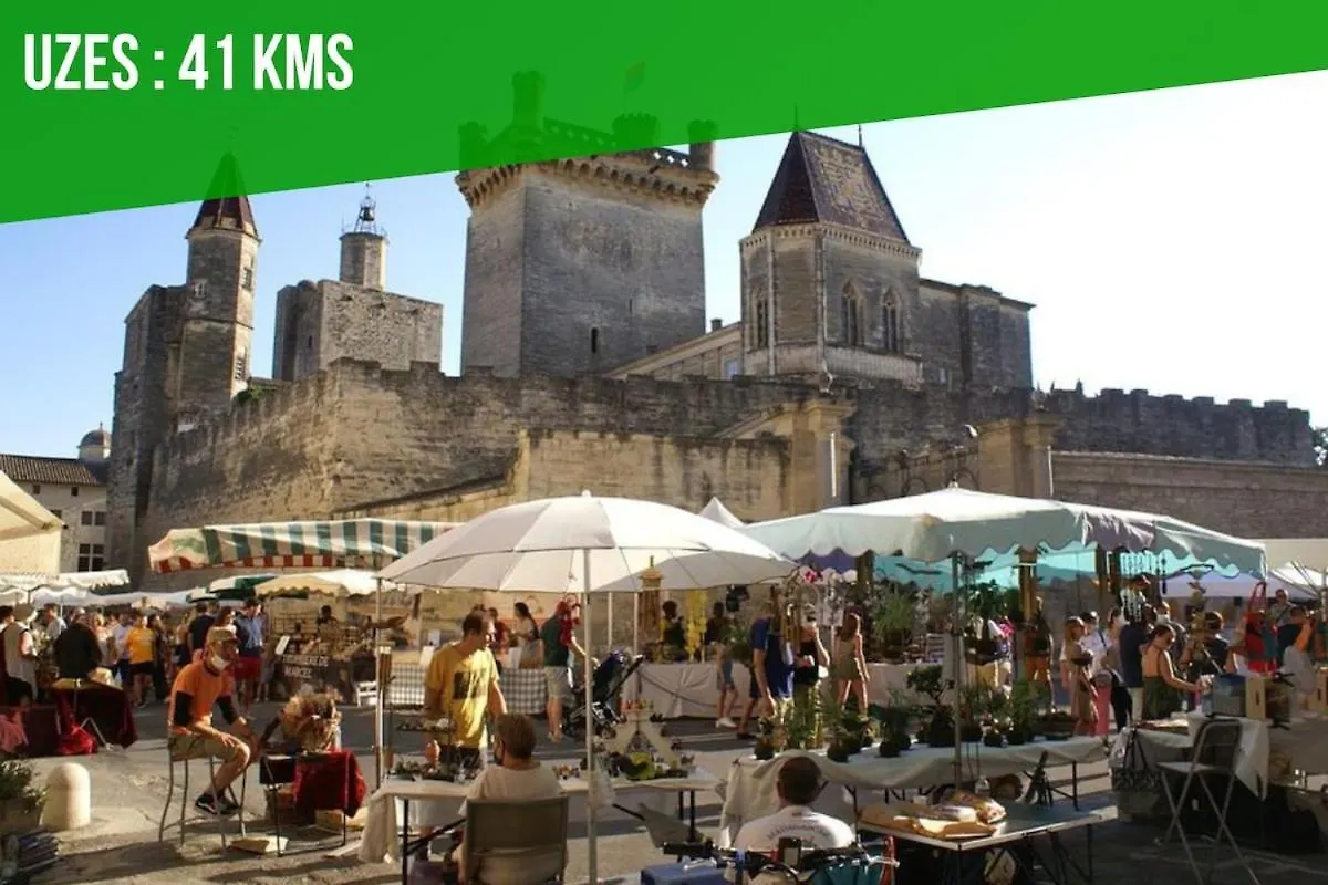 Ollie Des Carmes With Clim And Free Parking 300M Away Apartment Avignon
